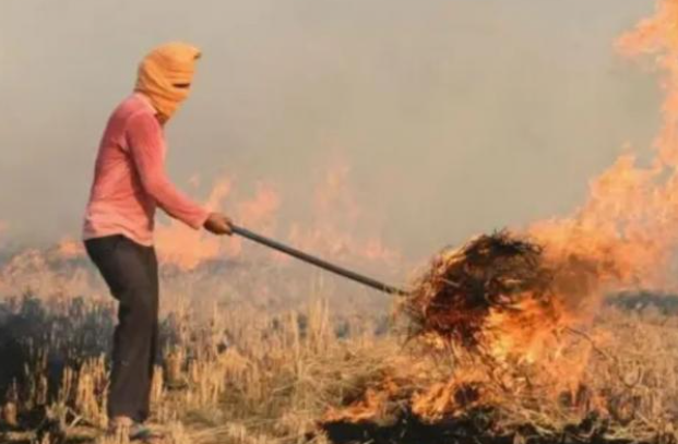 Punjab News: ਪੰਜਾਬ ਵਿੱਚ ਪਰਾਲੀ ਸਾੜਨ ਦੇ 26 ਨਵੇਂ ਮਾਮਲੇ ਦਰਜ