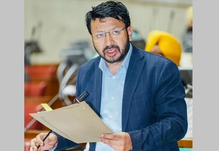 ਪੰਜਾਬ ਸਰਕਾਰ ਬਹੁ-ਪੱਖੀ ਪਹੁੰਚ ਅਪਣਾਉਂਦਿਆਂ ਅਵਾਰਾ ਪਸ਼ੂਆਂ ਦੇ ਹੱਲ ਲਈ ਵਿਆਪਕ ਰਣਨੀਤੀ ਬਣਾਏਗੀ: ਡਾ. ਰਵਜੋਤ ਸਿੰਘ