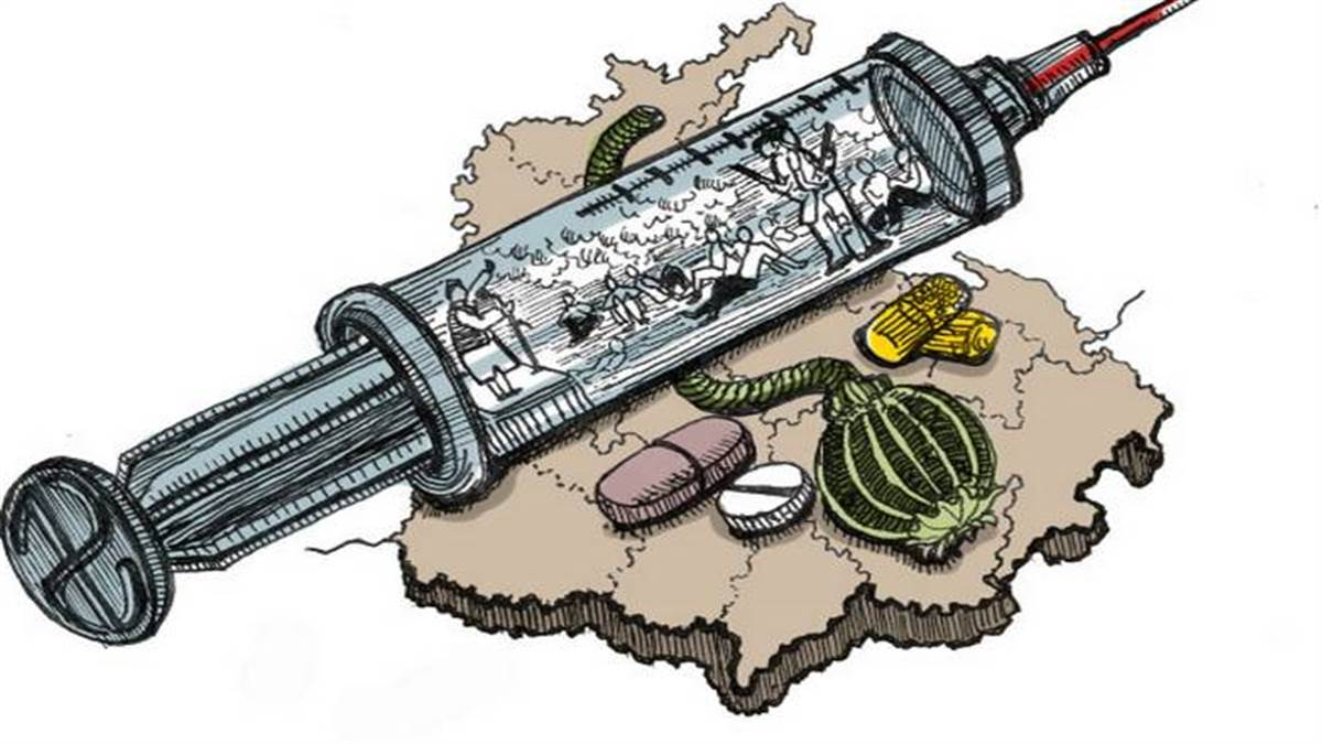 ‘ਯੁੱਧ ਨਸ਼ਿਆਂ ਵਿਰੁੱਧ’ ਦੇ 169ਵੇਂ ਦਿਨ ਪੰਜਾਬ ਪੁਲਿਸ ਵੱਲੋਂ 286 ਥਾਵਾਂ ‘ਤੇ ਛਾਪੇਮਾਰੀ; 57 ਨਸ਼ਾ ਤਸਕਰ ਕਾਬੂ