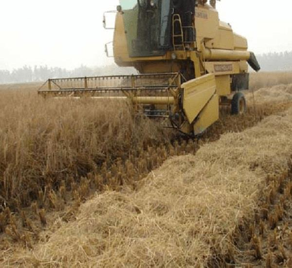   ਸ਼ਾਮ 6 ਵਜੇ ਤੋਂ ਸਵੇਰੇ 10 ਵਜੇ ਤੱਕ ਕੰਬਾਈਨ ਰਾਹੀਂ ਝੋਨੇ ਦੀ ਕਟਾਈ ਕਰਨ *ਤੇ ਪਾਬੰਦੀ ਦੇ ਹੁਕਮ ਜਾਰੀ