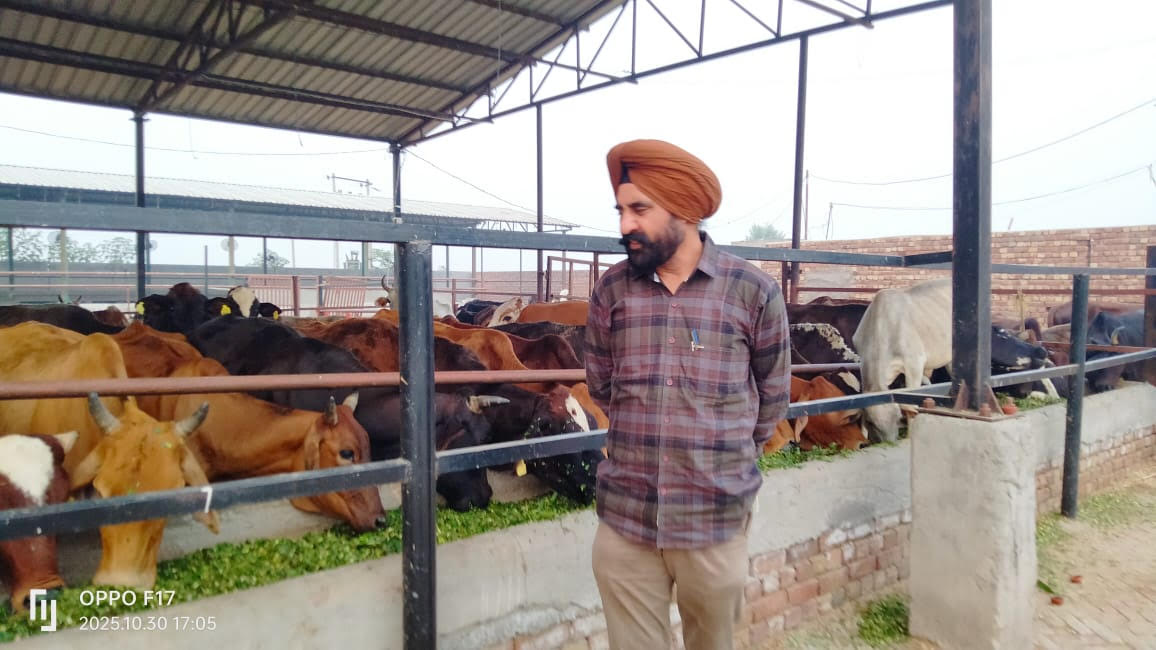 ਜ਼ਿਲ੍ਹਾ ਵਿਕਾਸ ਅਤੇ ਪੰਚਾਇਤ ਅਫਸਰ ਸ. ਹਰਜਿੰਦਰ ਸਿੰਘ ਵੱਲੋਂ ਦੇਰ ਸ਼ਾਮ ਫਾਜਿਲਕਾ ਦੇ ਪਿੰਡ ਸਲੇਮਸ਼ਾਹ ਵਿਚ ਜ਼ਿਲ੍ਹਾ ਪ੍ਰਸ਼ਾਸਨ ਦੀ ਦੇਖ-ਰੇਖ ਵਿਖੇ ਚੱਲ ਰਹੀ ਜ਼ਿਲ੍ਹਾ ਐਨੀਮਲ ਵੈਲਫੇਅਰ ਸੁਸਾਇਟੀ (ਕੈਂਟਲ ਪਾਊਂਡ) ਗਊਸ਼ਾਲਾ ਦਾ ਅਚਨਚੇਤ ਦੌਰਾ ਕੀਤਾ ਗਿਆ 