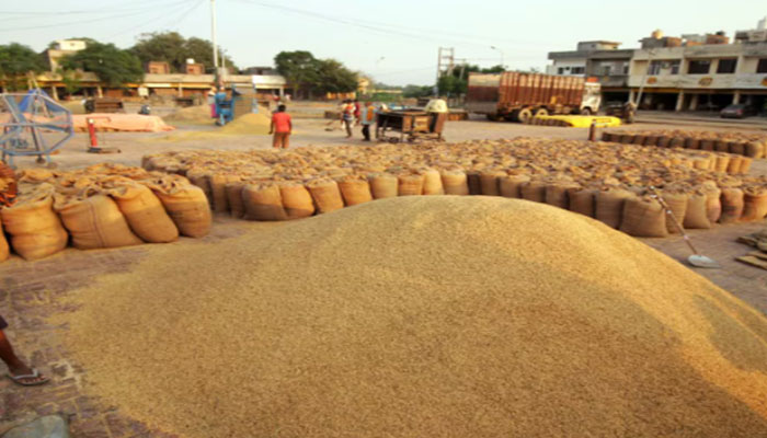 ਹੁਣ ਤੱਕ 11 ਲੱਖ ਤੋਂ ਵੱਧ ਕਿਸਾਨਾਂ ਨੂੰ ਐਮ.ਐਸ.ਪੀ. ਦਾ ਲਾਭ ਮਿਲਿਆ