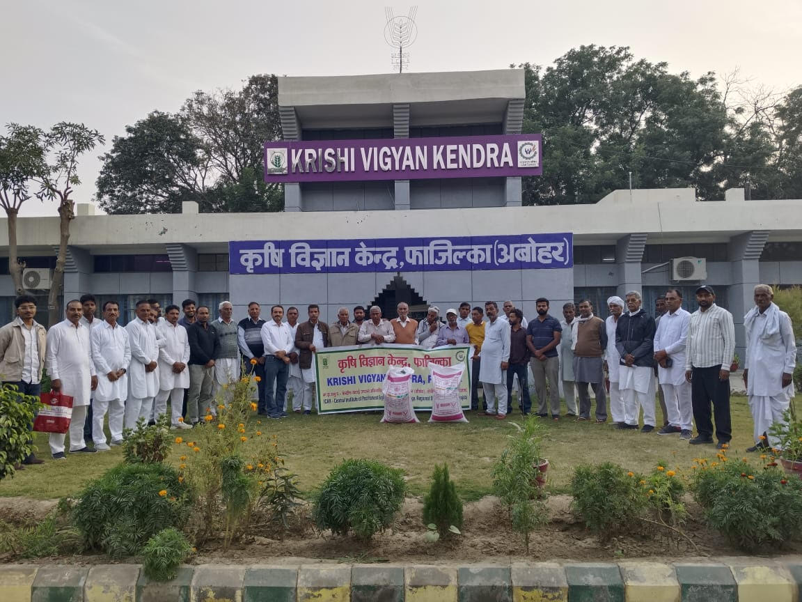 ਕ੍ਰਿਸ਼ੀ ਵਿਗਿਆਨ ਕੇਂਦਰ, ਫਾਜ਼ਿਲਕਾ, ਸੀਆਈਐਫਟੀ, ਅਬੋਹਰ ਨੇ ਇੱਕ ਜਾਗਰੂਕਤਾ-ਕਮ-ਸਿਖਲਾਈ ਪ੍ਰੋਗਰਾਮ ਦਾ ਆਯੋਜਨ ਕੀਤਾ ਅਤੇ ਸੀਐਫਐਲਡੀ ਬਾਇਓਫੋਰਟੀਫਾਈਡ ਕਣਕ ਦੀ ਕਿਸਮ ਬਾਰੇ ਬੀਜ ਅਤੇ ਇਨਪੁਟ ਵੰਡੇ