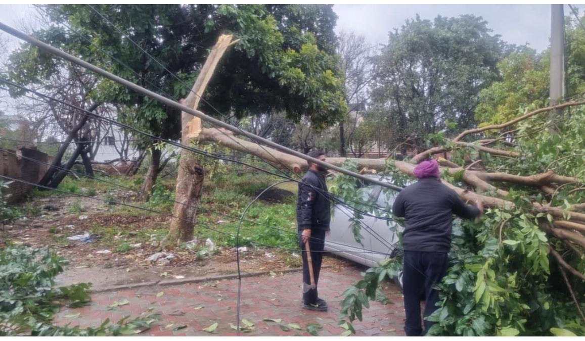 ਪੀ.ਐਸ.ਪੀ.ਸੀ.ਐਲ. ਸਟਾਫ਼ ਬਿਜਲੀ ਸਪਲਾਈ ਦੀ ਬਹਾਲੀ ਲਈ 24 ਘੰਟੇ ਸਰਗਰਮ