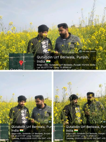 ਖੇਤੀਬਾੜੀ ਅਤੇ ਕਿਸਾਨ ਭਲਾਈ ਵਿਭਾਗ ਵੱਲੋਂ ਸਰੋਂ ਦੀ ਫਸਲ ਦੇ ਮੌਜੂਦਾ ਪੜਾਅ ਤੇ ਪੈਸਟ ਨਿਰੀਖਣ ਕੀਤਾ